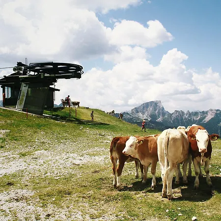 Apartamento Montanara Haus