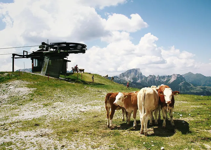 Apartmán Montanara Haus